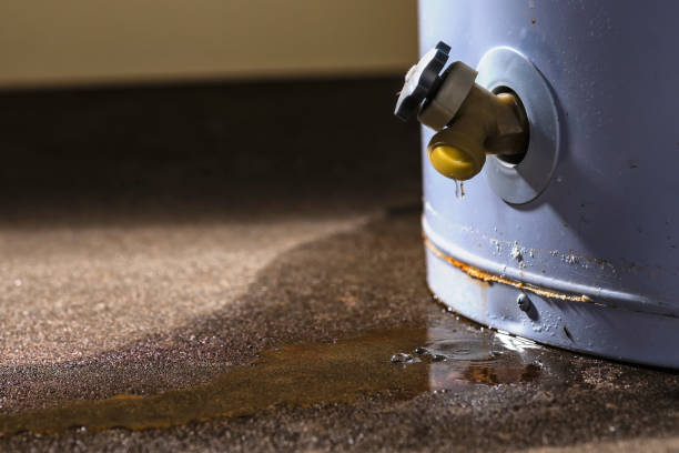 Best Flood restoration services  in Ridgefield, WA