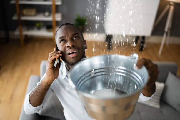 Best Local water damage restoration  in Ridgefield, WA