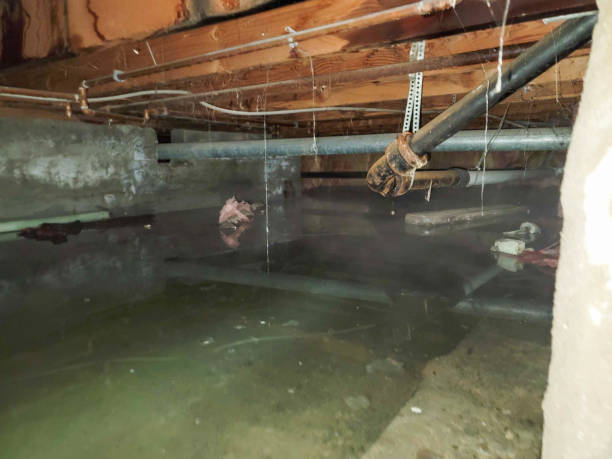Best Ceiling water damage repair  in Ridgefield, WA