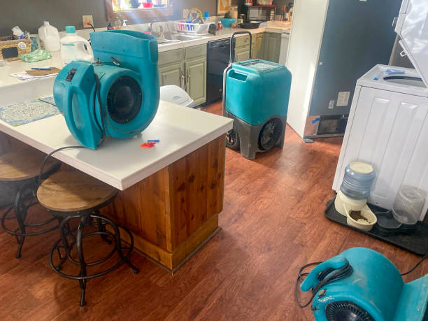 Best Water damage contractors near me  in Ridgefield, WA