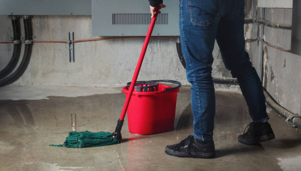 Best Fire Damage Restoration  in Ridgefield, WA
