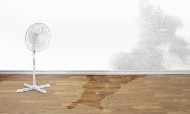 Best Flooded house restoration  in Ridgefield, WA