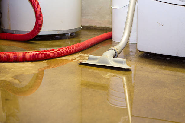Water damage restoration experts in Ridgefield, WA