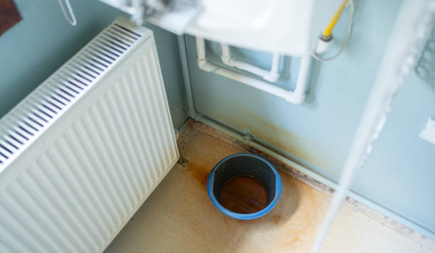 Best Flood damage cleanup  in Ridgefield, WA