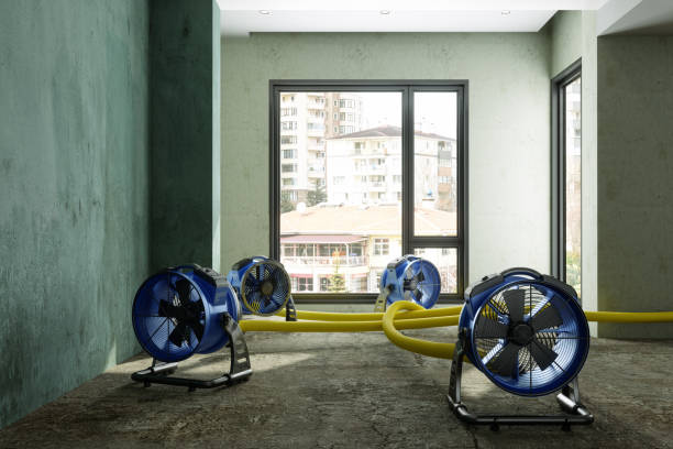 Best Water damage restoration experts  in Ridgefield, WA